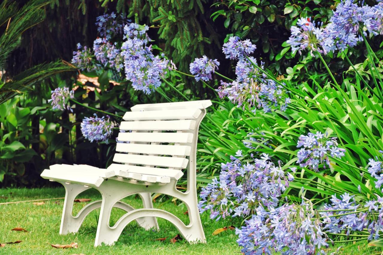 Pazo Revel Hotel & Resort Pontevedra Dış mekan fotoğraf